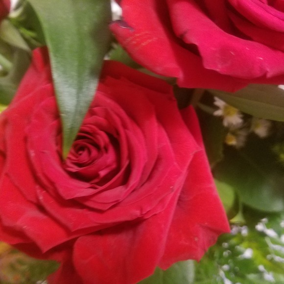 lola_fiore